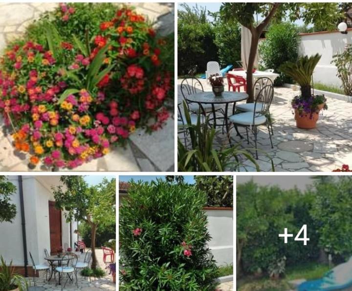 Villa Dafne Fondi Esterno foto